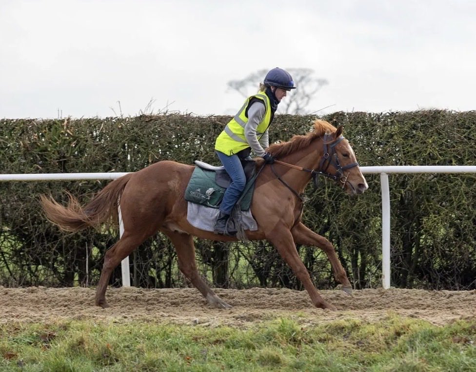 Nick Bradley Racing tweet media