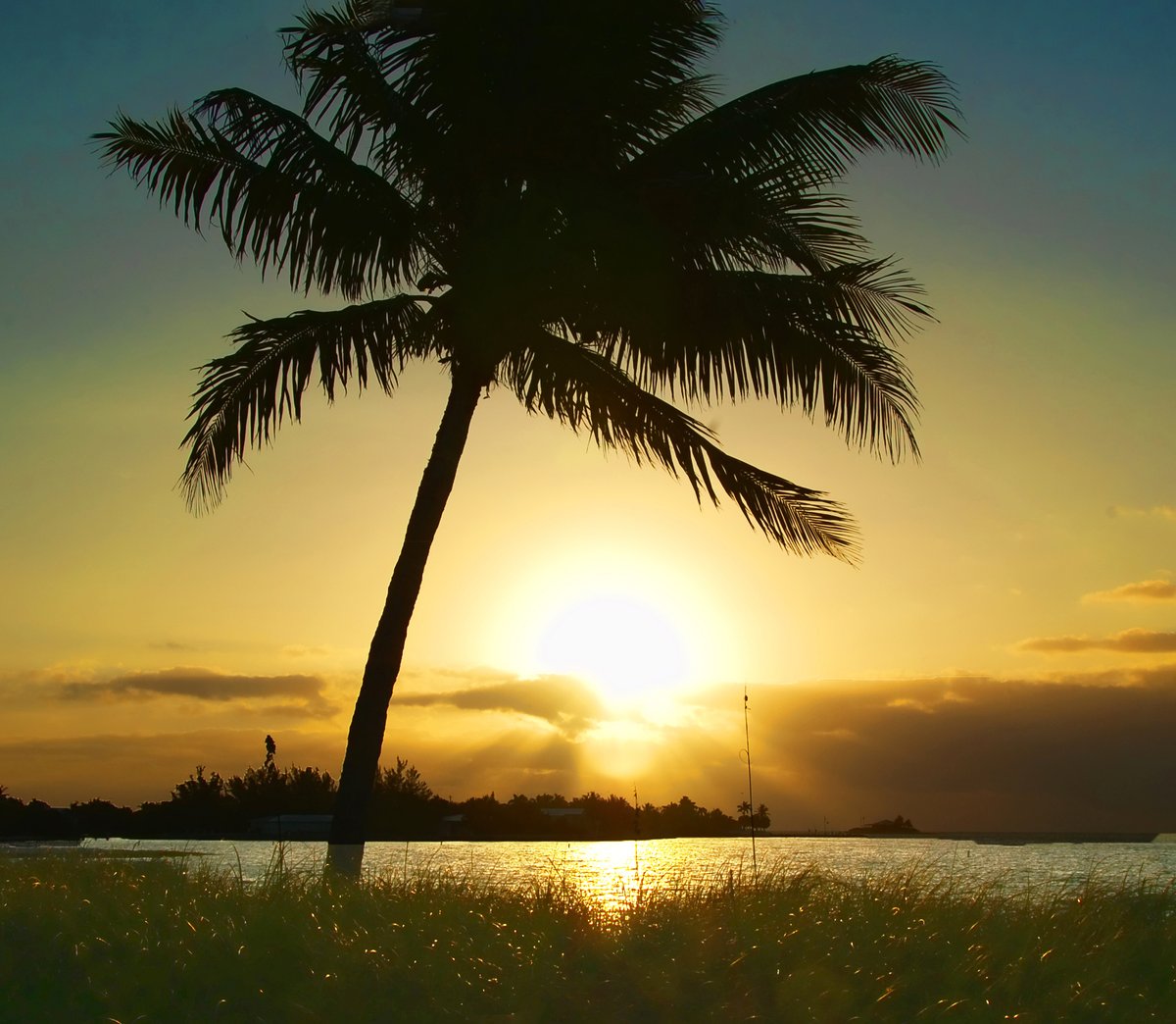 COS_foto_grl's tweet photo. @DailyPicTheme2 #DailyPictureTheme #aureolin
Sunrise in the #FloridaKeys https://t.co/LrR8FrQjOD