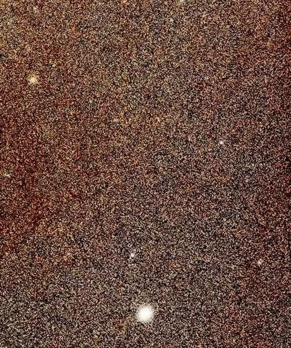 Black Hole tweet media