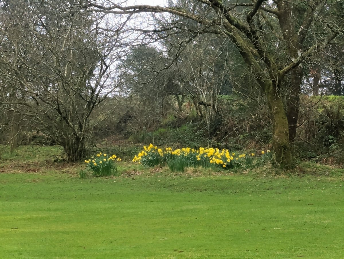 Carmarthen Golf Club & Driving Range tweet media