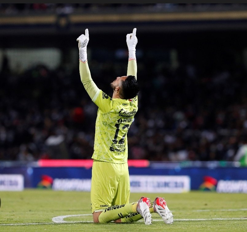 ⭐Rojinegra Chilanga⭐🔴⚫🦊 tweet media