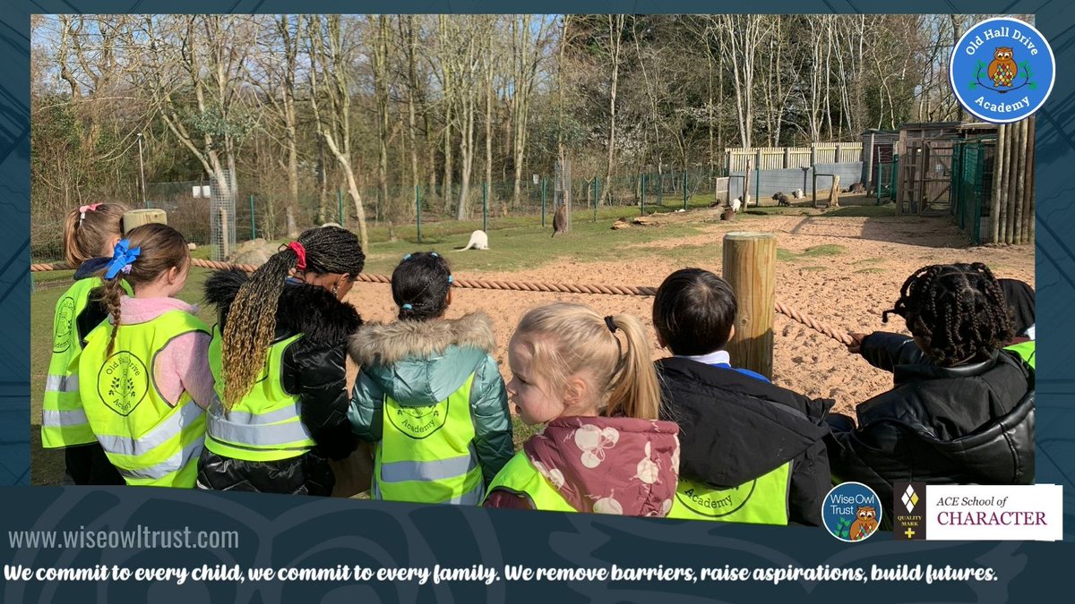 Wise Owl Trust tweet media