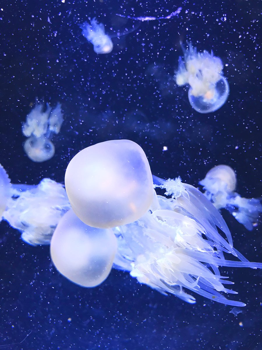 La daronne là (@xyouuu) on Twitter photo 