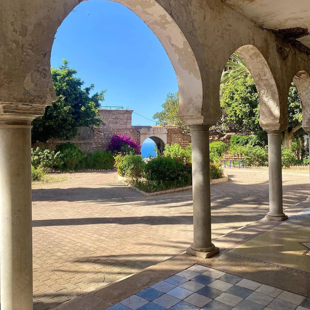 R ۞ 🇩🇿 tweet media