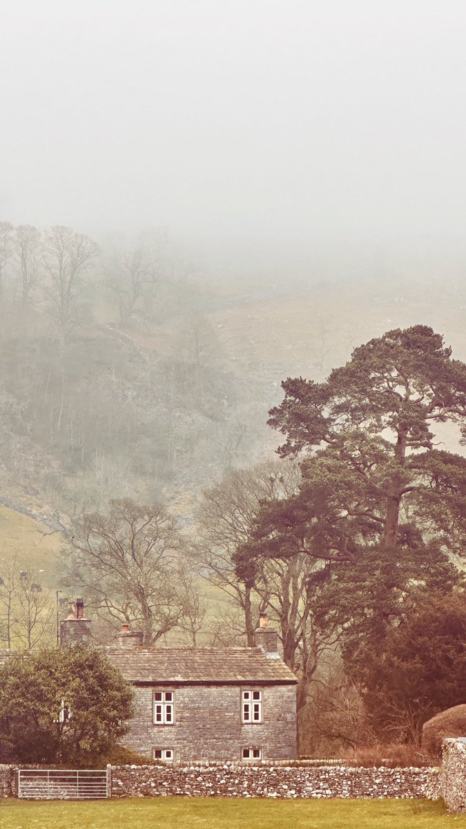 The Snork Maiden 💙💛 tweet media