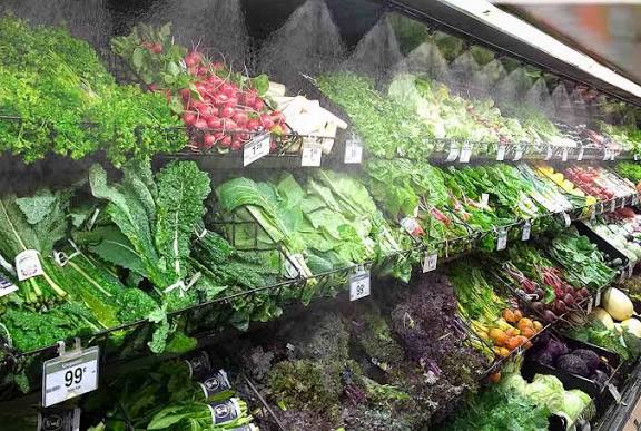 thetrainerdan23's tweet photo. Amo esos climas que huelen como el rack de verduras del super https://t.co/qaI2FO28Z4