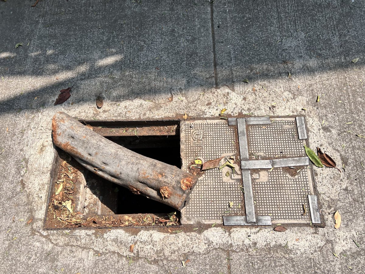 SofiSanR's tweet photo. Este registro en la banqueta lleva más de un mes así. Está súper peligroso y será más peligroso cuando venga temporada de lluvias. Está a esta altura de viaducto Tlalpan, en la colonia san buenaventura. Ojalá puedan hacer algo @TlalpanAl @TlalpanVecinos @locatel_mx https://t.co/mqivqk54jx