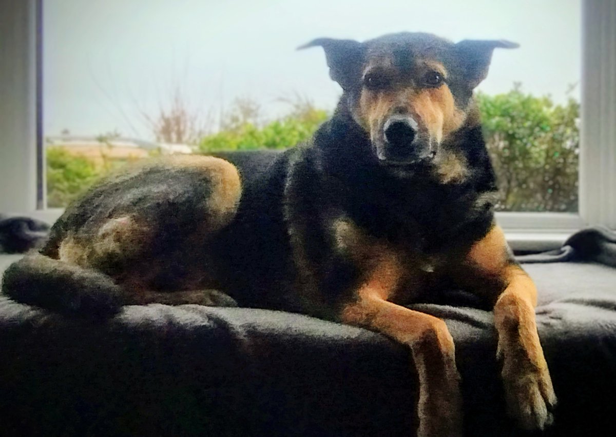 Real Ale Store tweet media