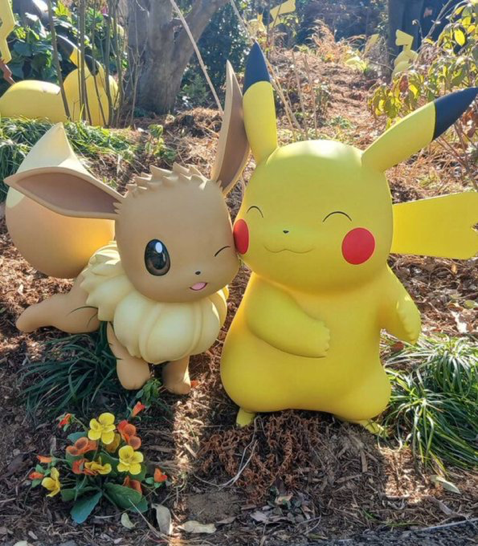 Pirat_Nation 🔴 tweet media