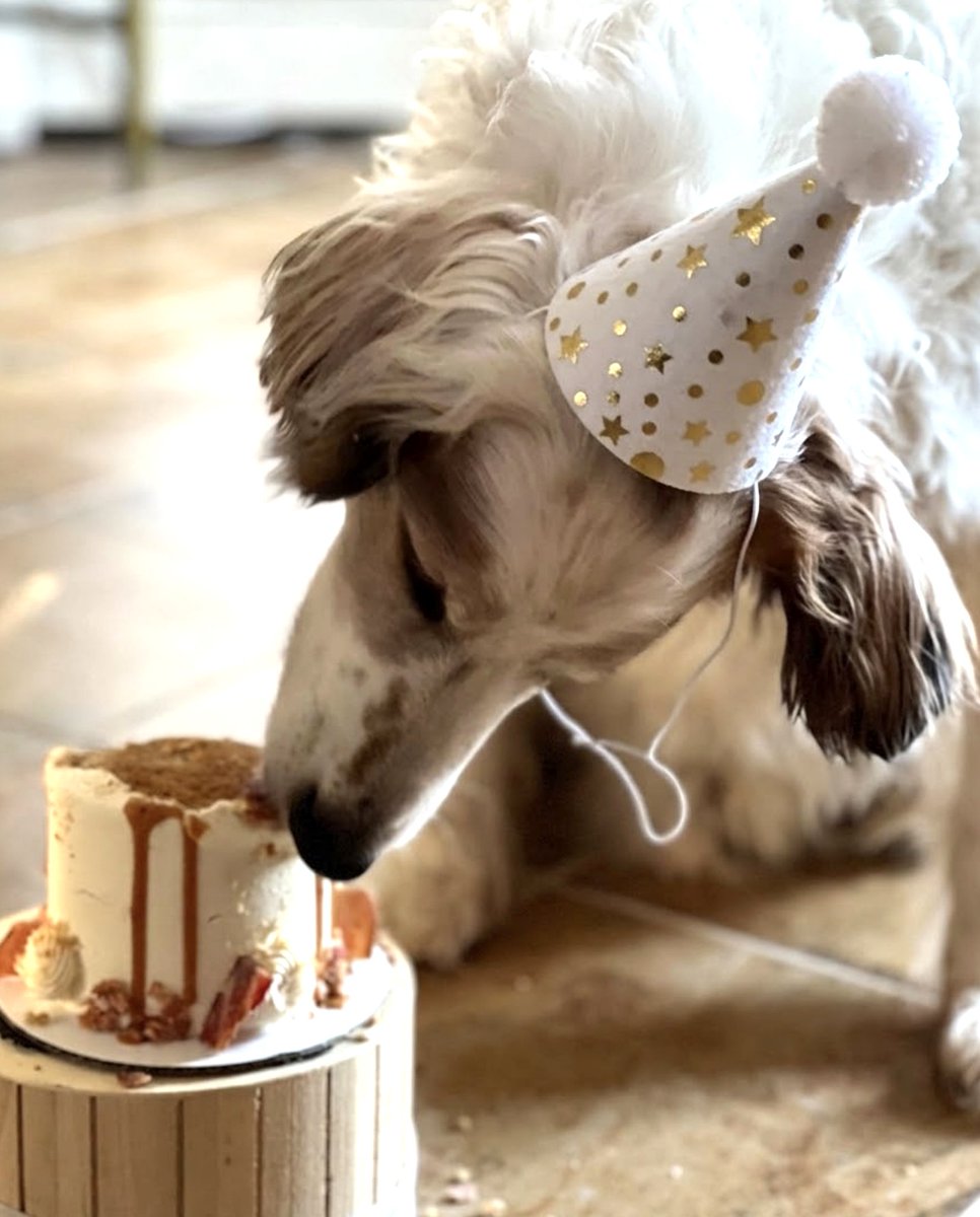 Lorna Yard ✪ tweet media