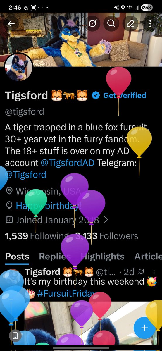 Tigsford 🐯🐅🐯 tweet media