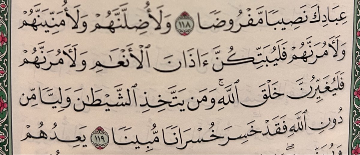 unique bird🪿 tweet media