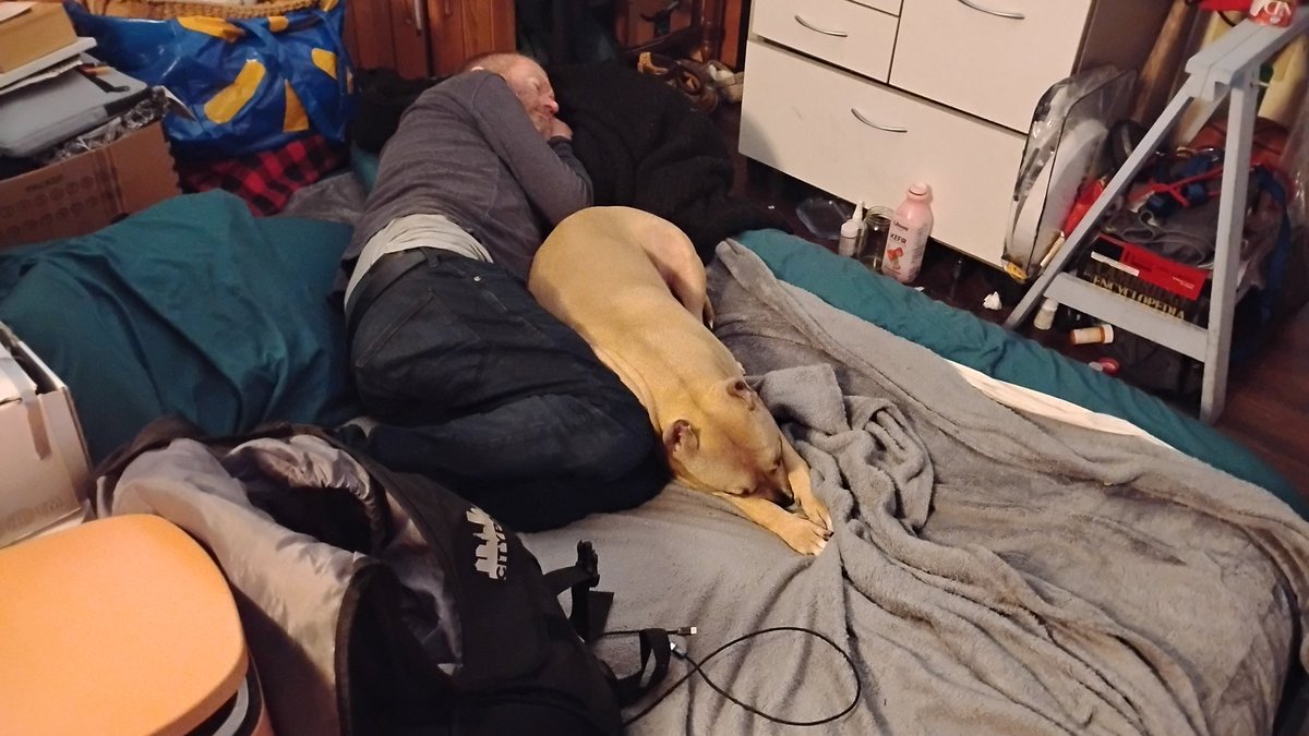 Brian Brunscheon tweet media