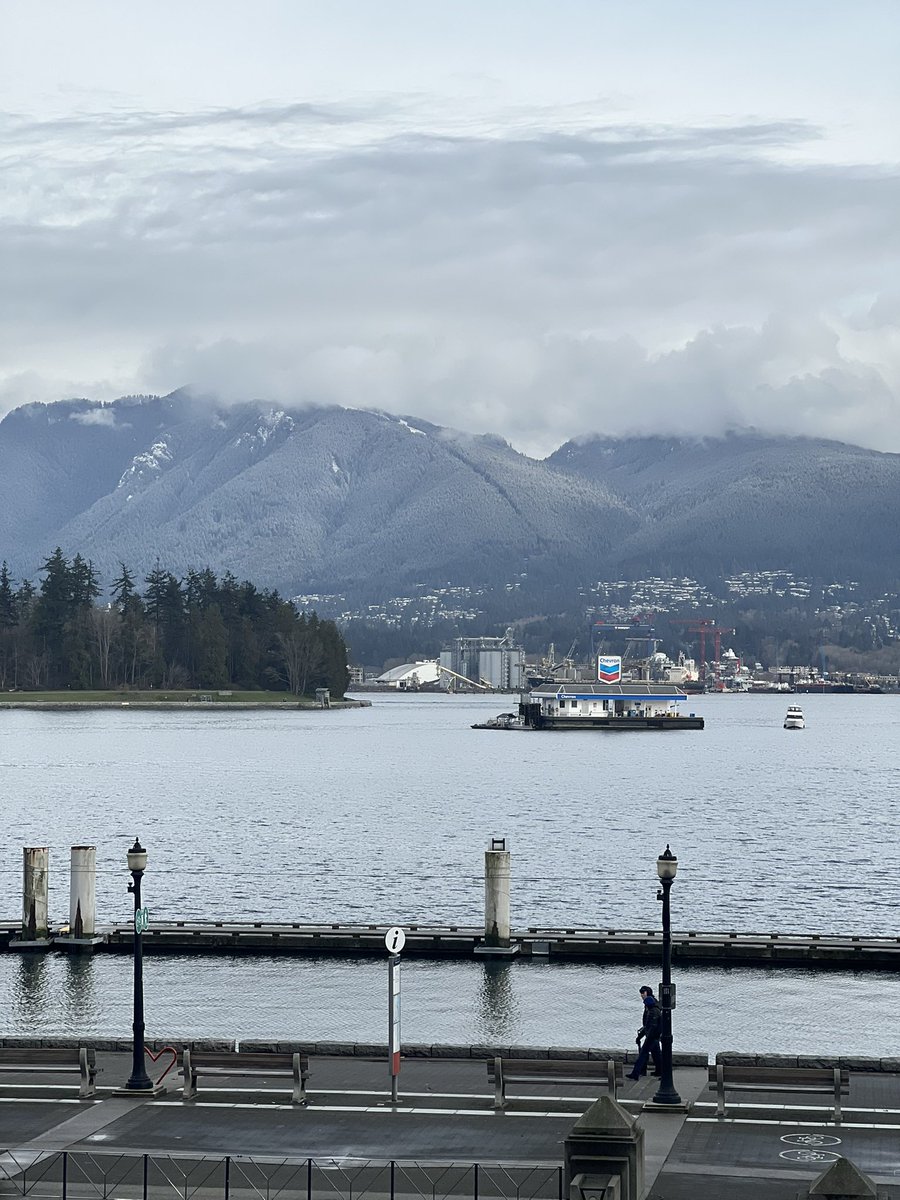 Justin Morissette 👊🏻 tweet media