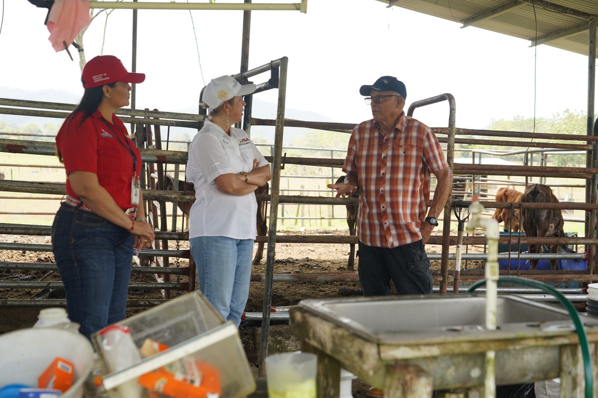 ISA Panamá tweet media