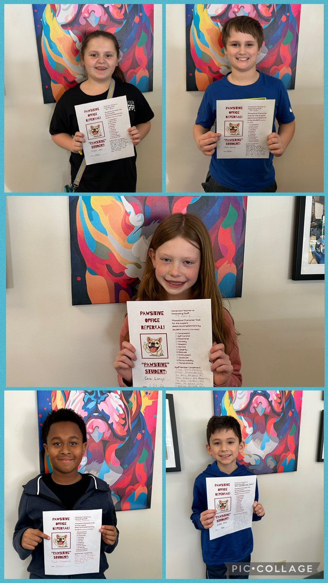 Lace School tweet media