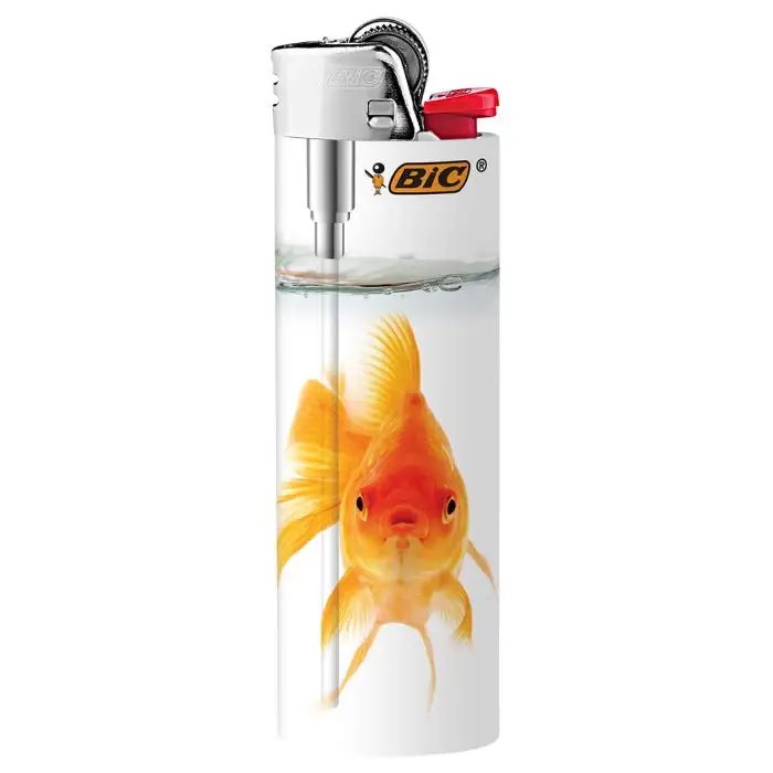 awesomegirl2486 tweet media