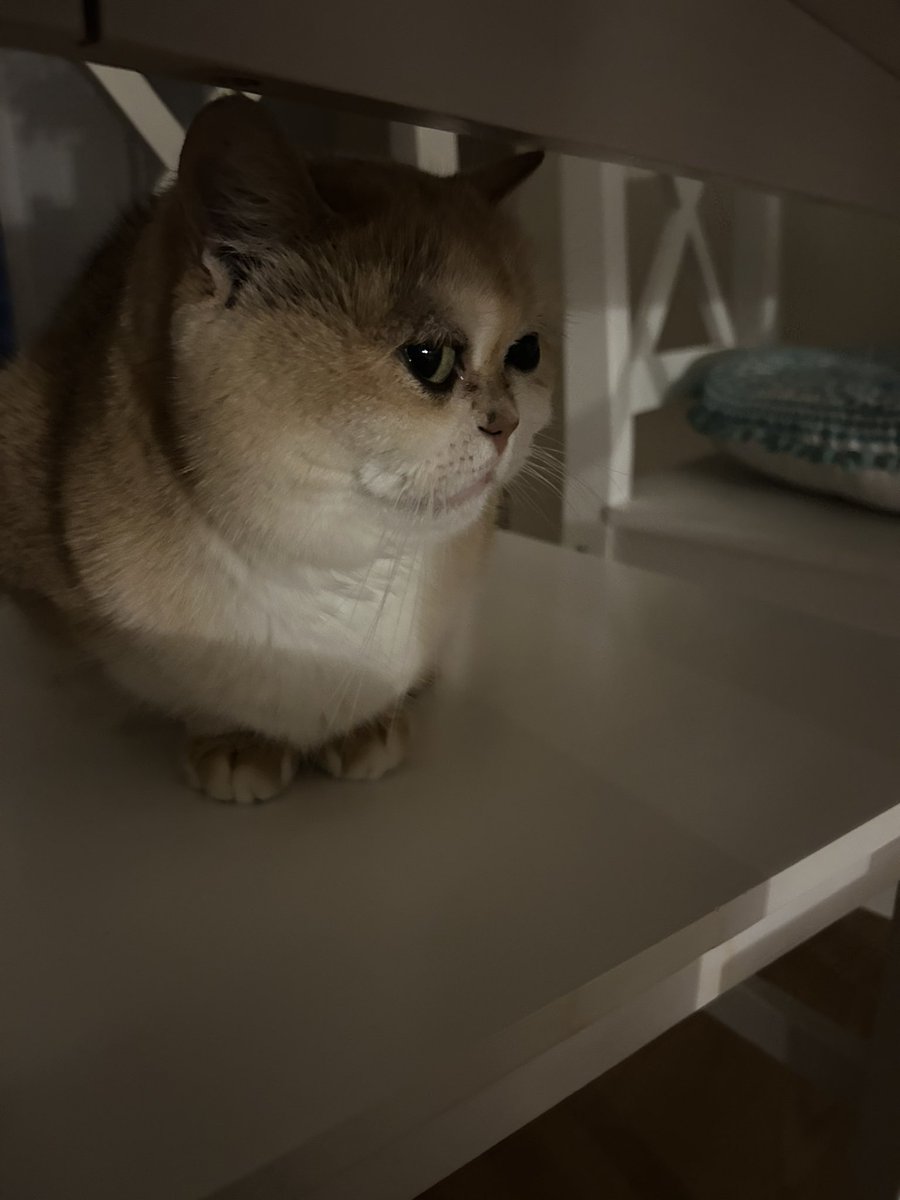 jemima 🤍 jasper tweet media