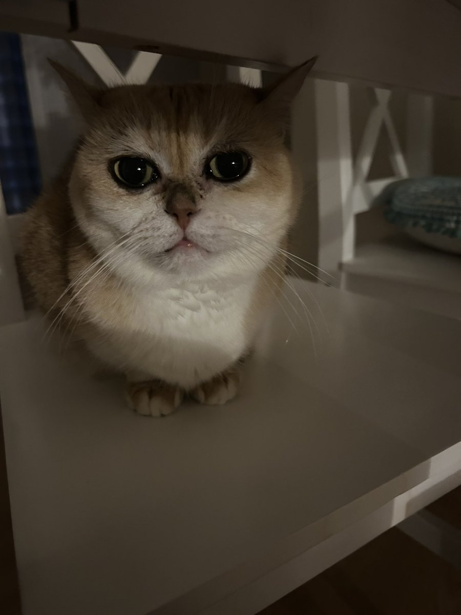 jemima 🤍 jasper tweet media