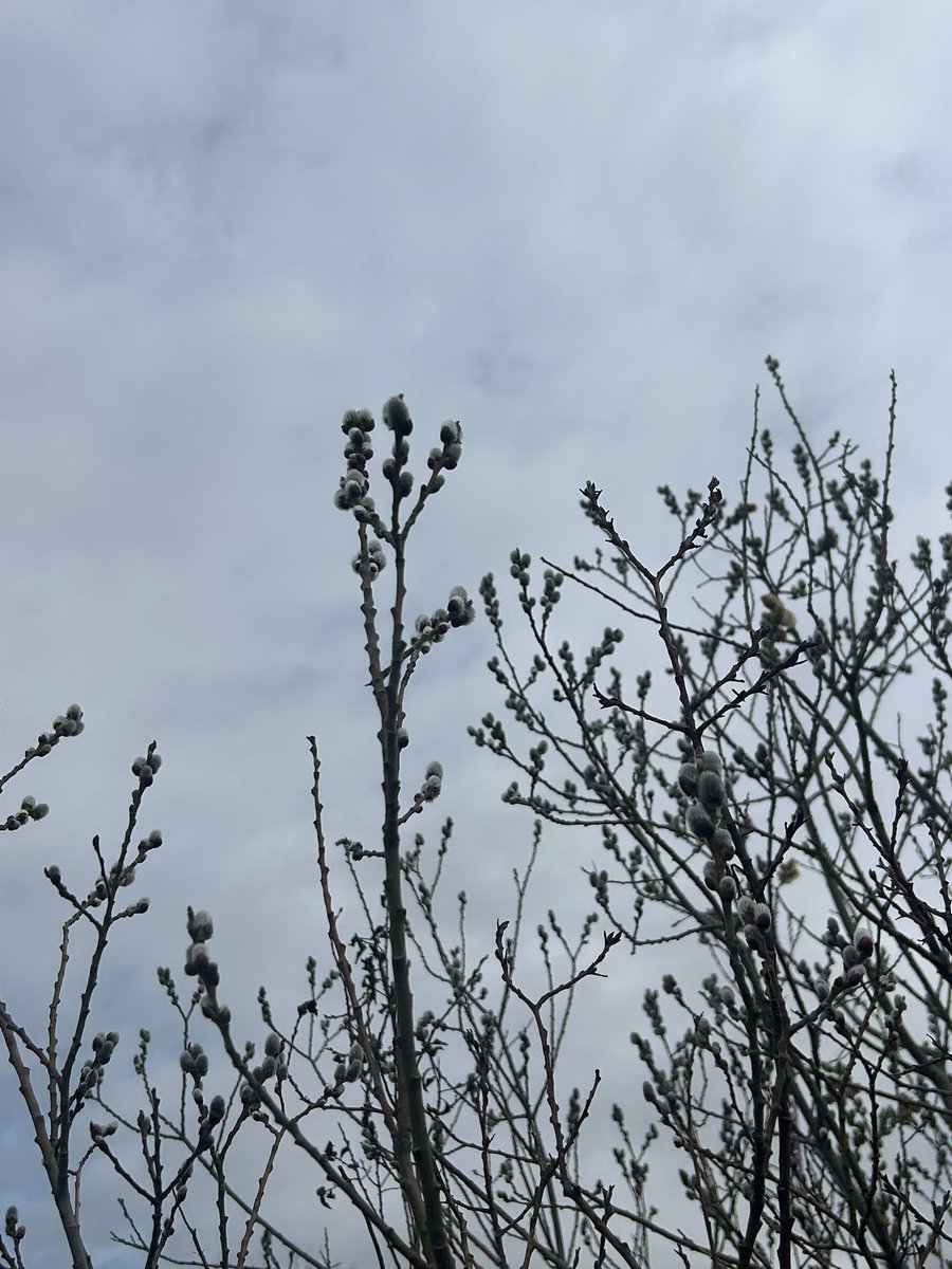 Malvin Jamison tweet media