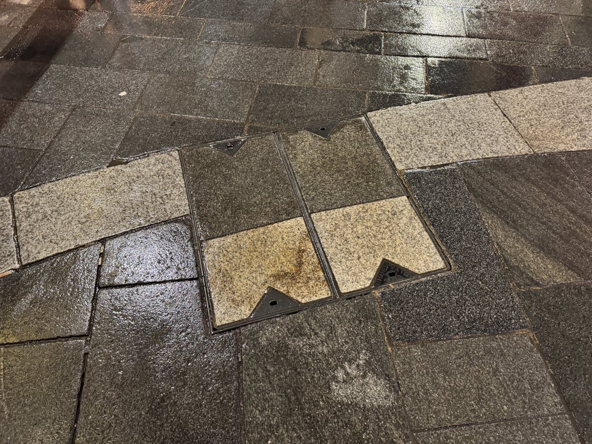 Elshad 🇬🇧🇪🇺 tweet media