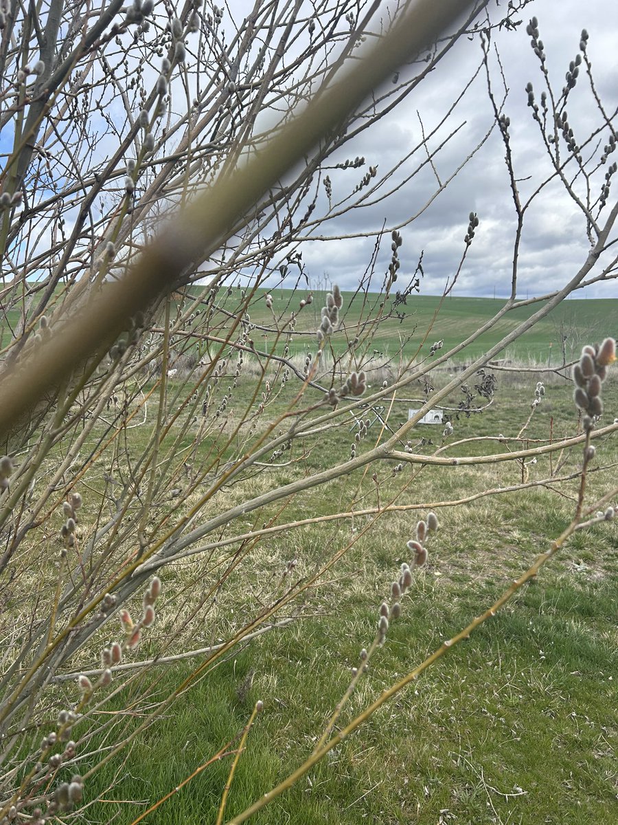 Malvin Jamison tweet media