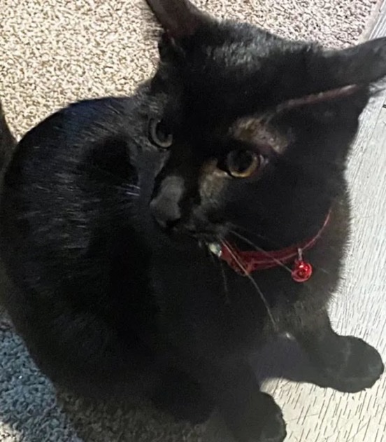 positive side of X 🌞 tweet media