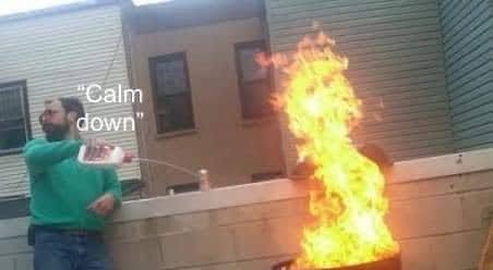 ElvisElviz tweet media