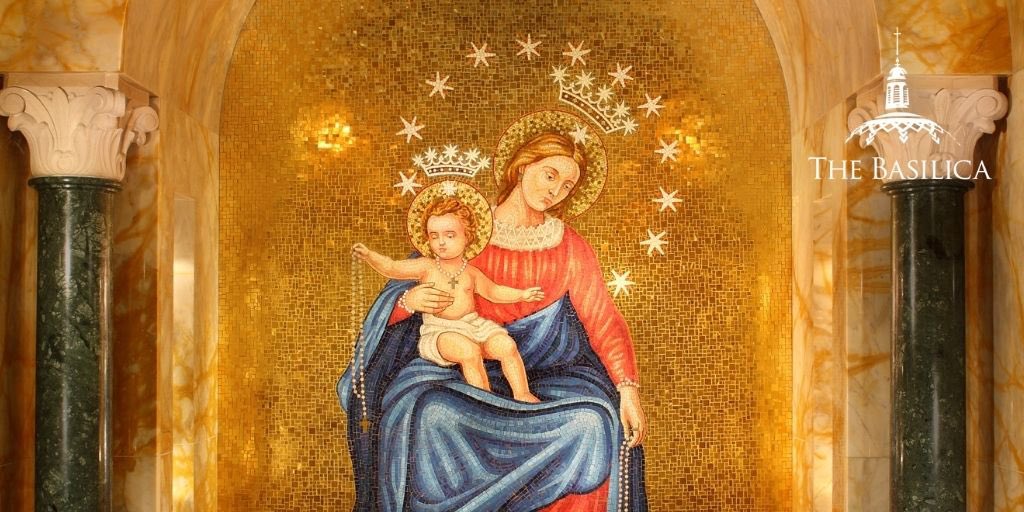 Sips with Serra tweet media