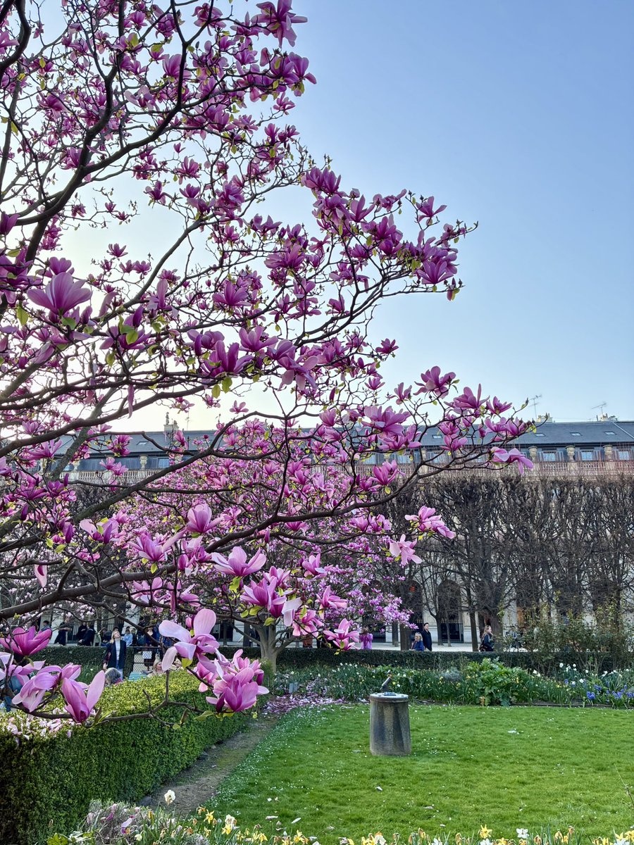 Conseil de Quartier Louvre Opéra tweet media