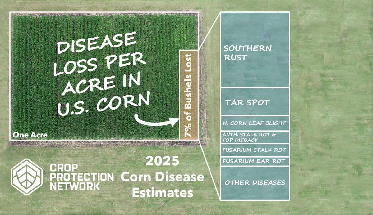 Crop Protection Network tweet media