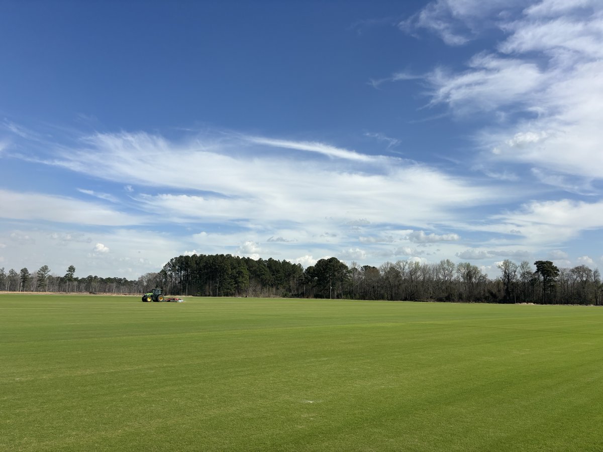 gy_gatf's tweet photo. Northbridge Bermuda #greenacresturfsc #sodsolutions #northbridge https://t.co/AyX0FRIYIU