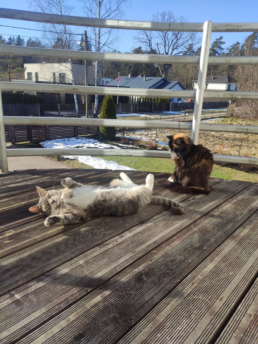 Men...😤 always photobombing women 🙄😔