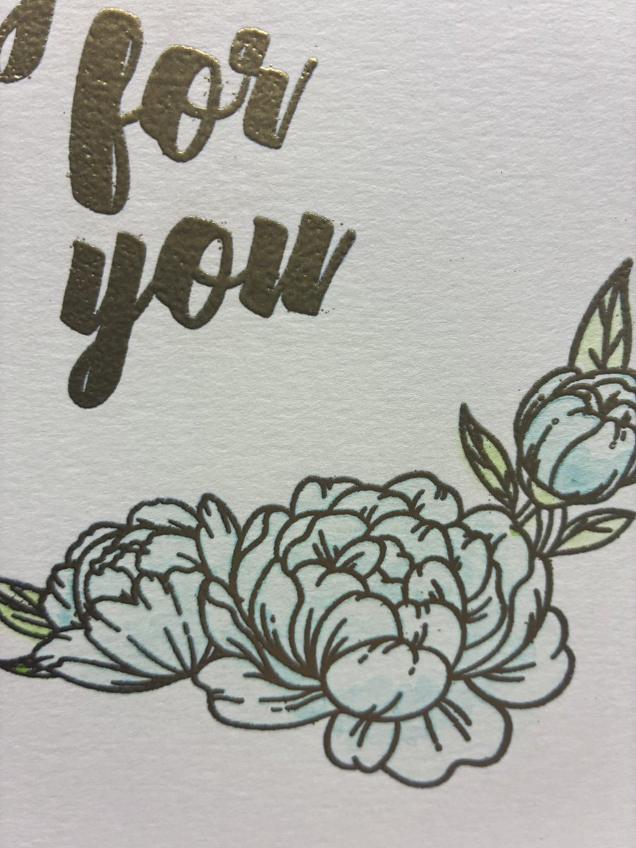 ChristiSherrell's tweet photo. Just for you Birthday card 🎂💌📪
https://t.co/WHnAZWTbTi
#justforyou #happybirthday #watercolor #cleanandsimple #sherrellartcreations https://t.co/stSyKu6rfh