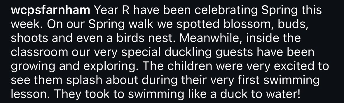 William Cobbett Primary School tweet media