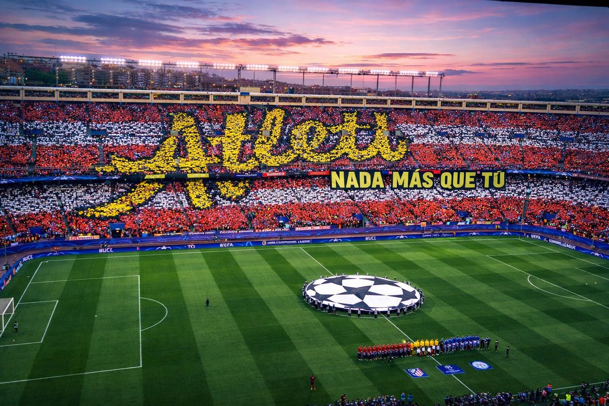 DefendiendoTusColores. tweet media