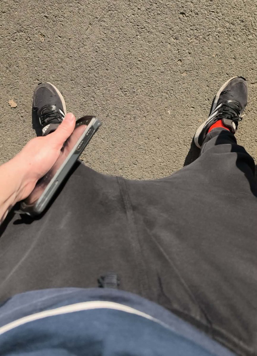 Alfa Seba Master tweet media