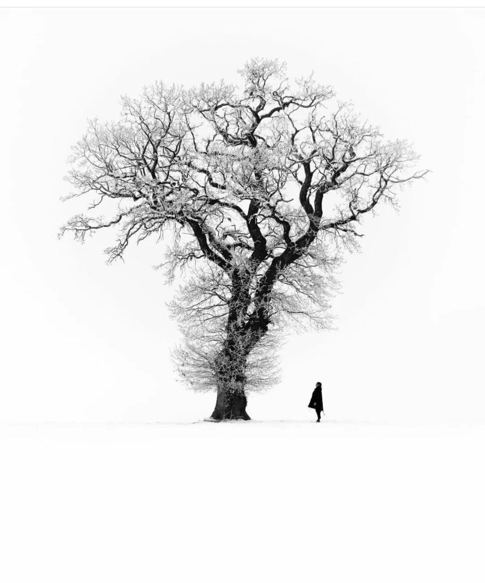 “beni benden öğren, herkese aynı değilim…”