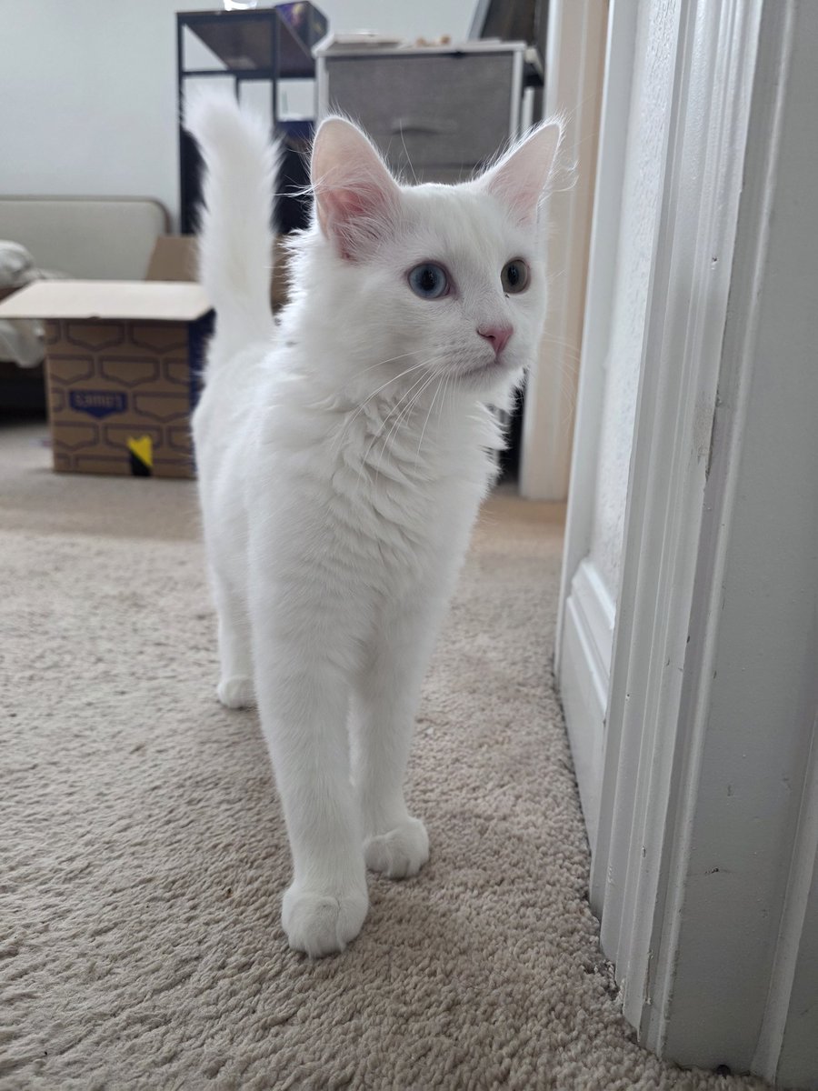 MaryMaybe tweet media