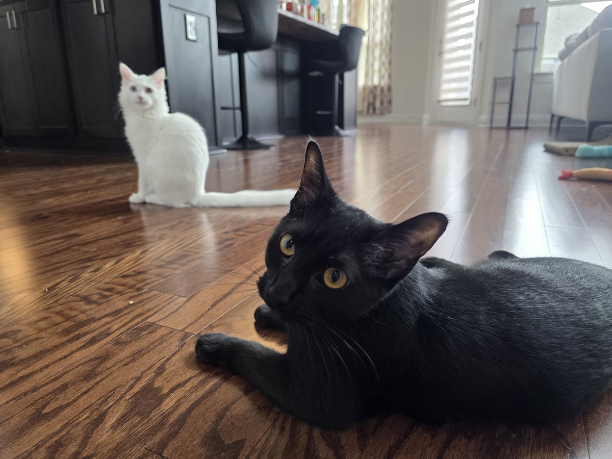 MaryMaybe tweet media