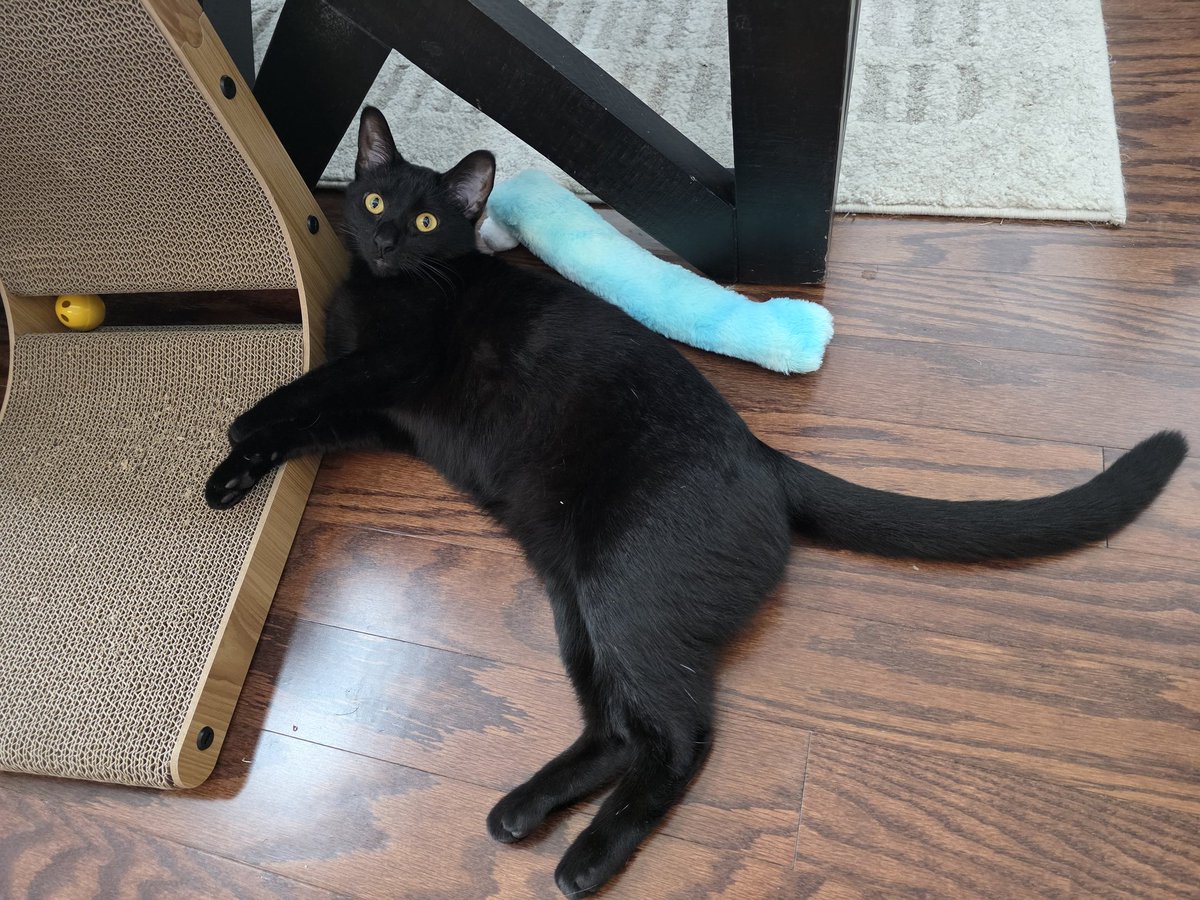 MaryMaybe tweet media