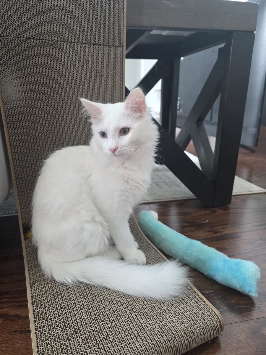 MaryMaybe tweet media