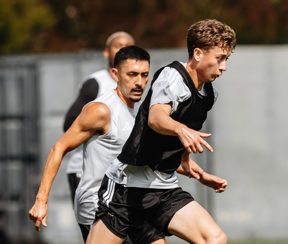 Masconazo.com tweet media