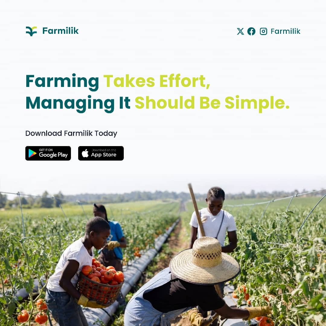 Farmilik tweet media