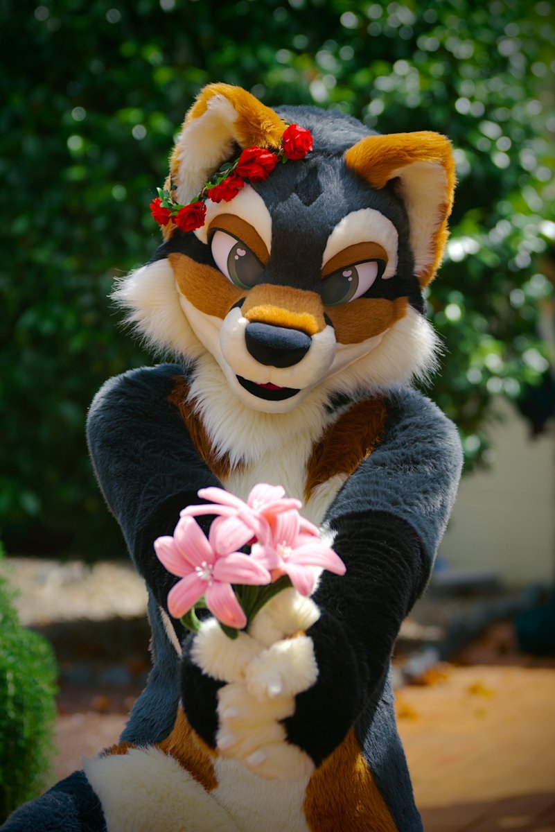 kittlums tweet media