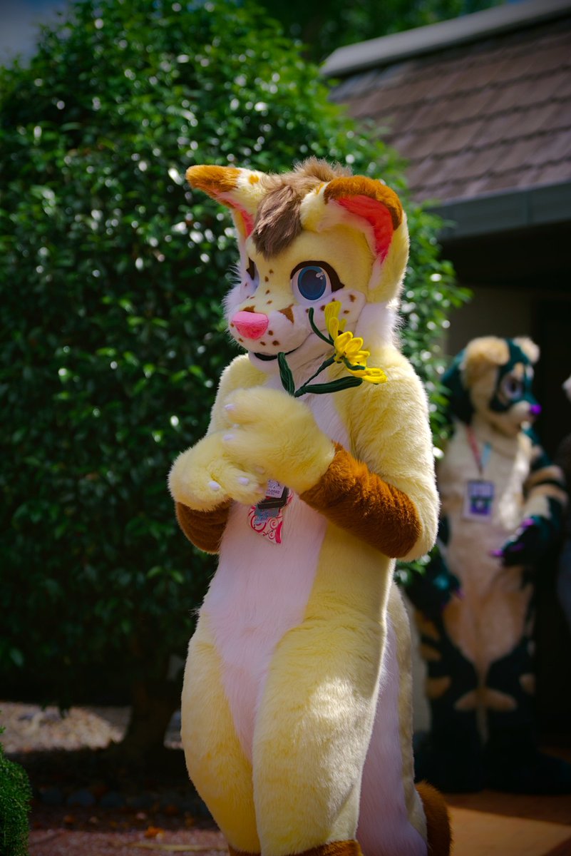 kittlums tweet media