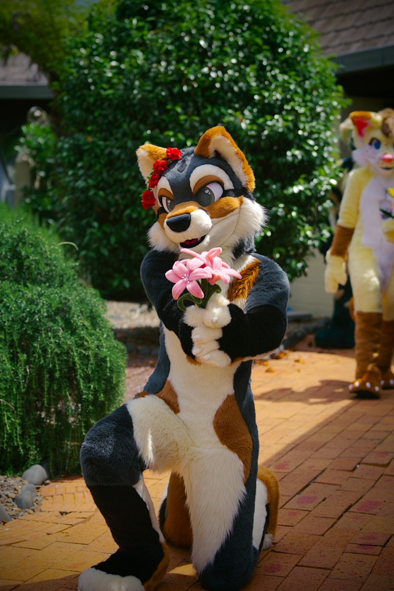 kittlums tweet media