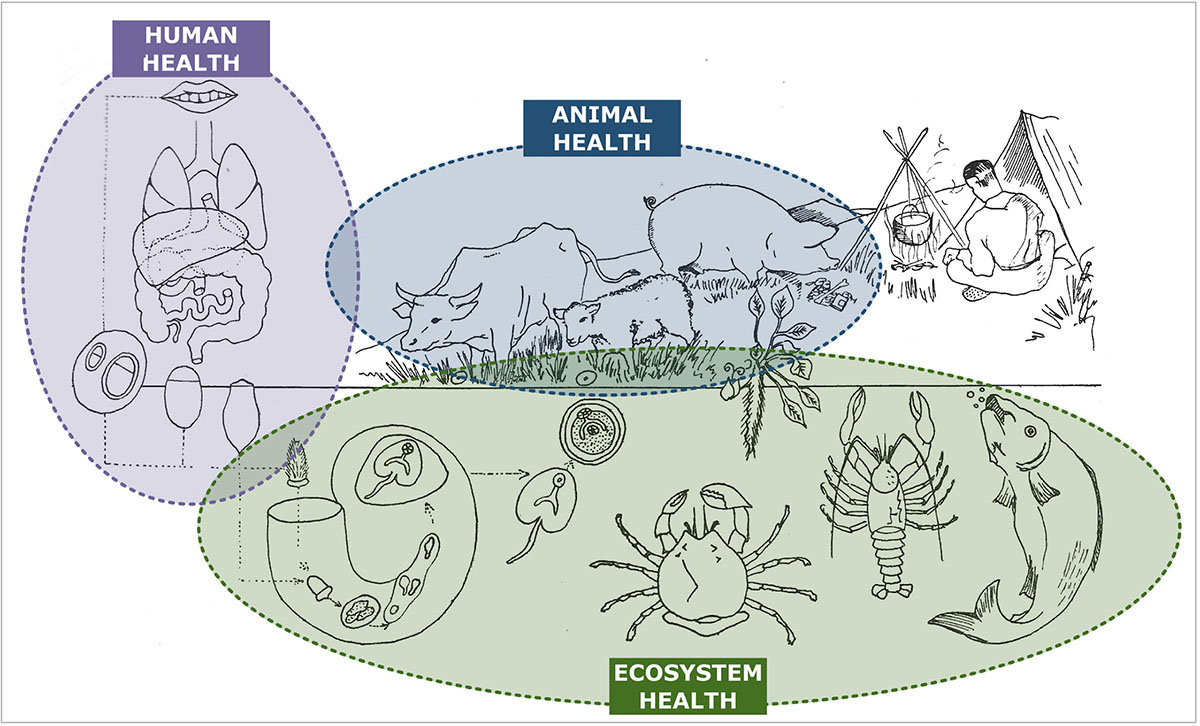 Parasite - The Journal tweet media