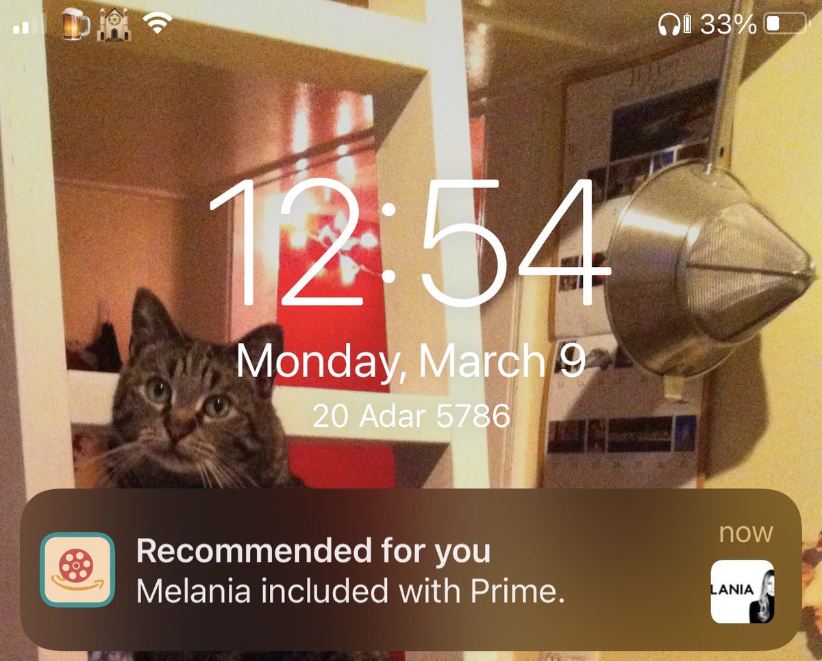 (((BeerRabbi)))🍺 tweet media