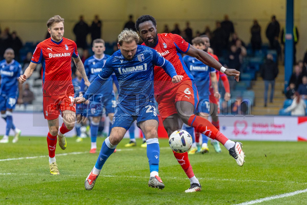 GillsInTheBlood tweet media